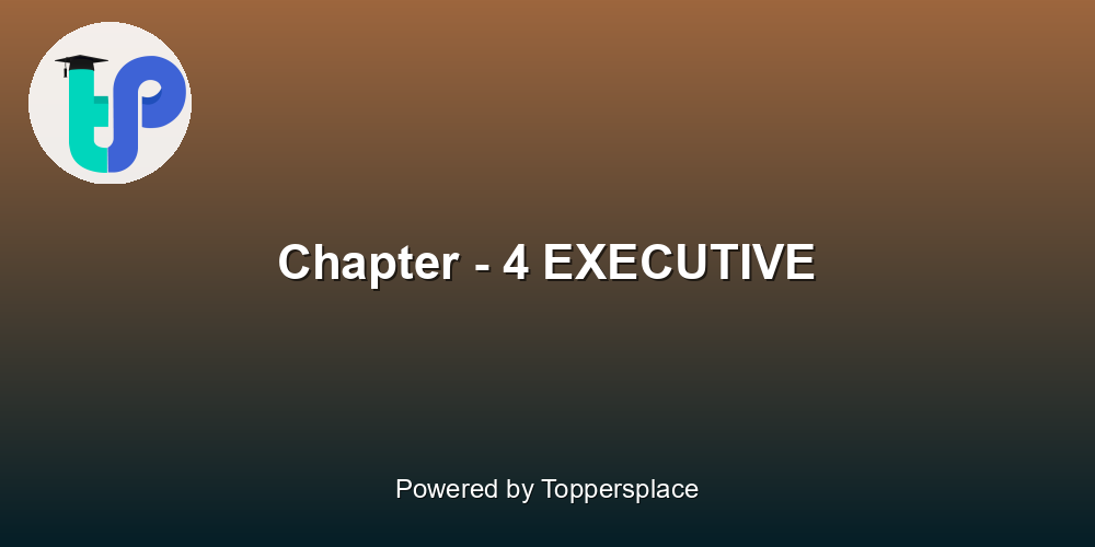 Chapter - 4 EXECUTIVE