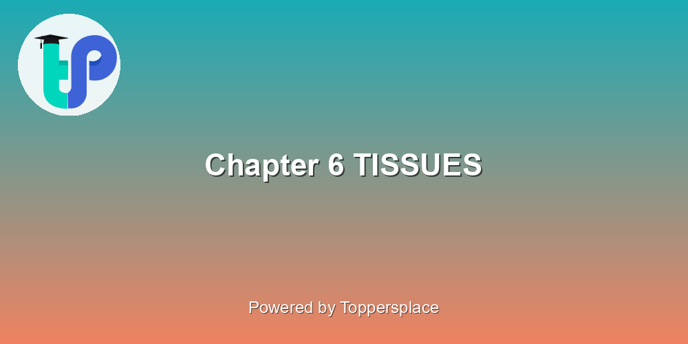 Chapter 6 TISSUES