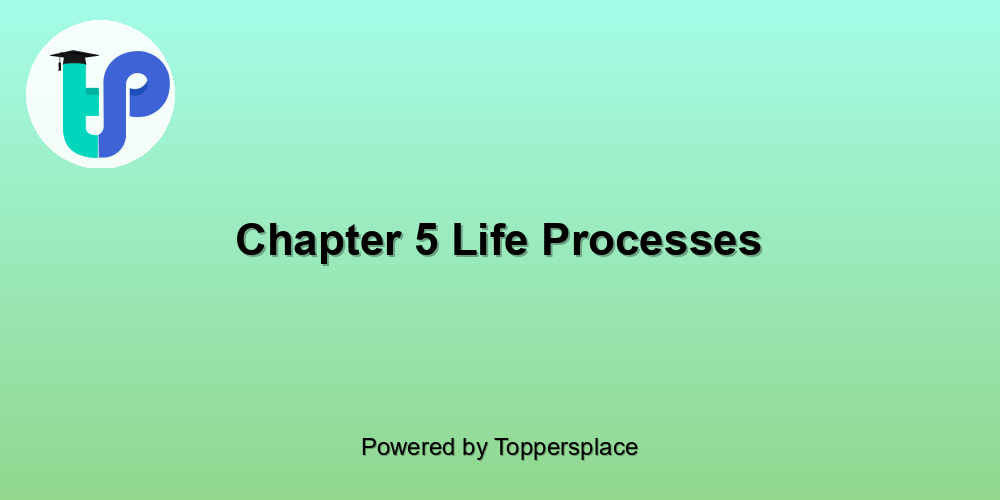 Chapter 5 Life Processes