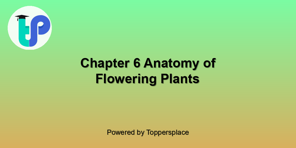 Chapter 6 Anatomy of Flowering Plants