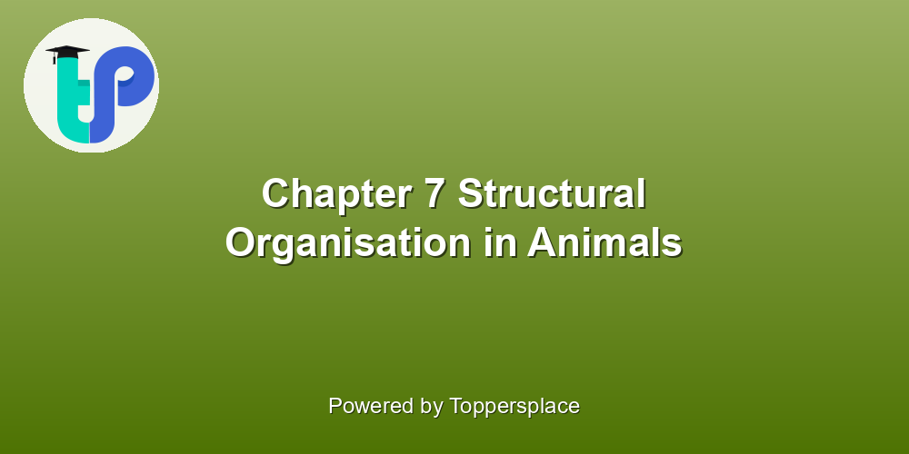 Chapter 7 Structural Organisation in Animals