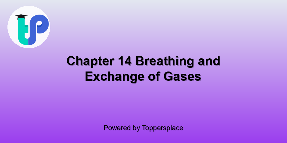 Chapter 14 Breathing and Exchange of Gases