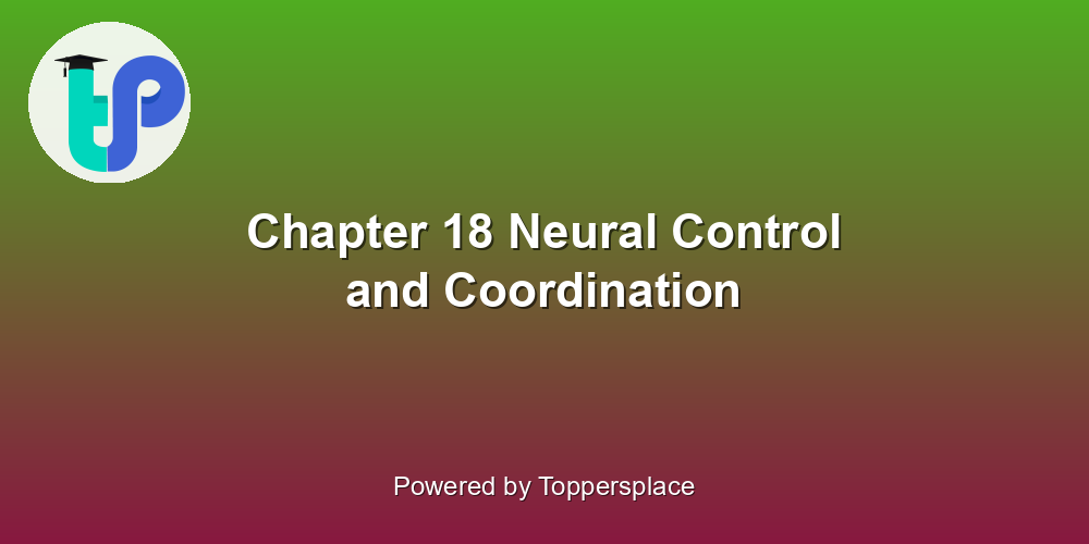 Chapter 18 Neural Control and Coordination