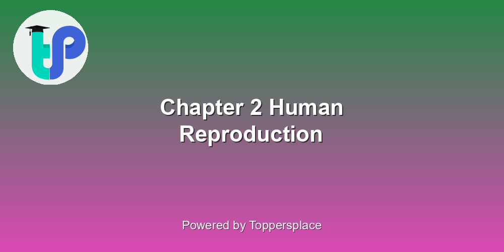 Chapter 2 Human Reproduction