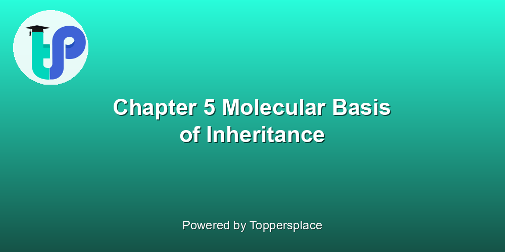 Chapter 5 Molecular Basis of Inheritance