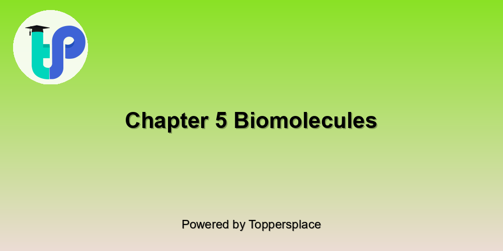 Chapter 5 Biomolecules