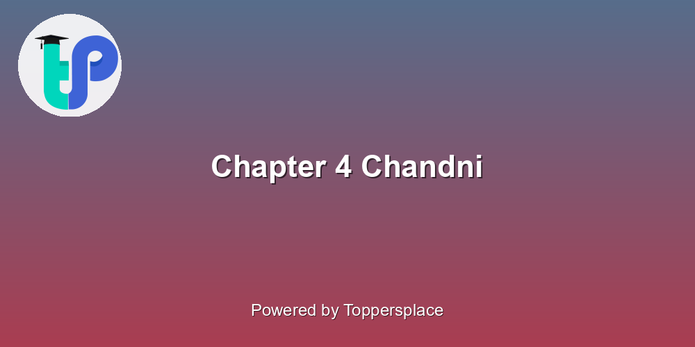 Chapter 4 Chandni