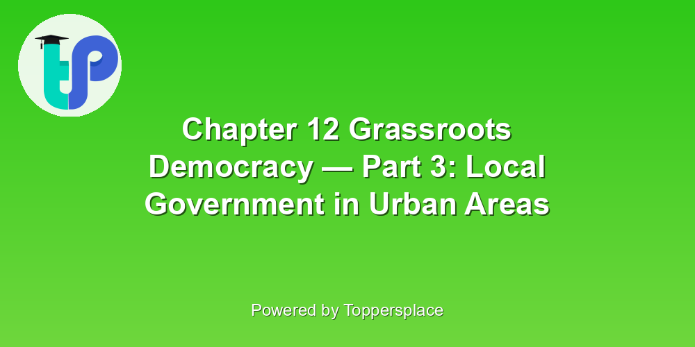 Chapter 12 Grassroots Democracy — Part 3: Local Government in Urban Areas