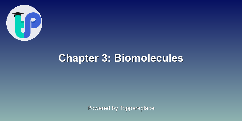 Chapter 3: Biomolecules