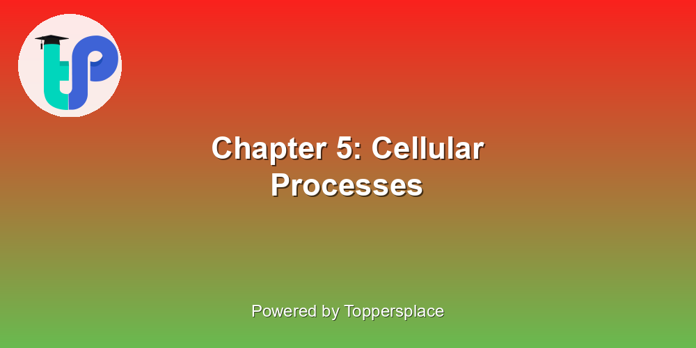 Chapter 5: Cellular Processes