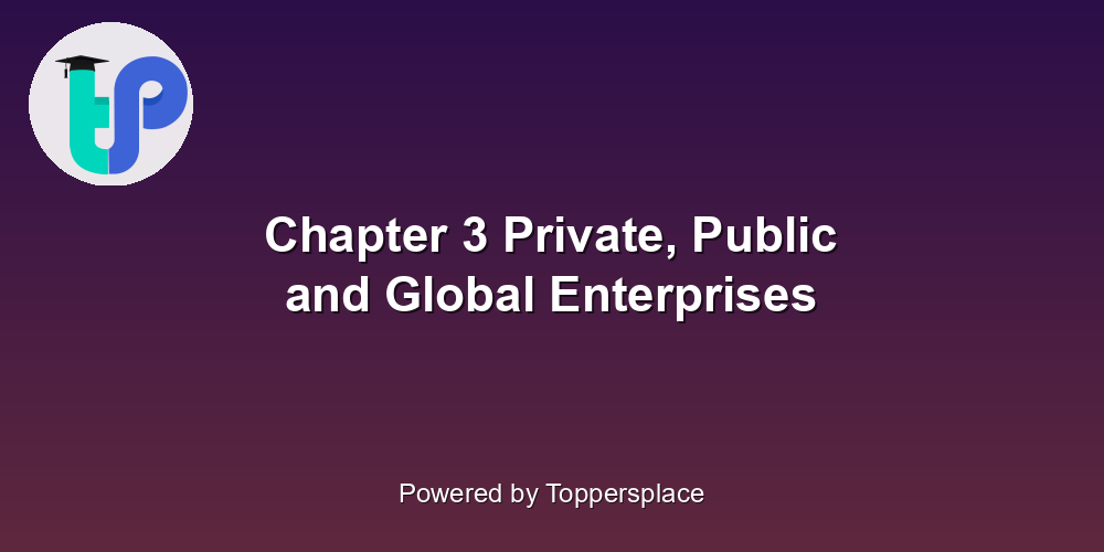 Chapter 3 Private, Public and Global Enterprises