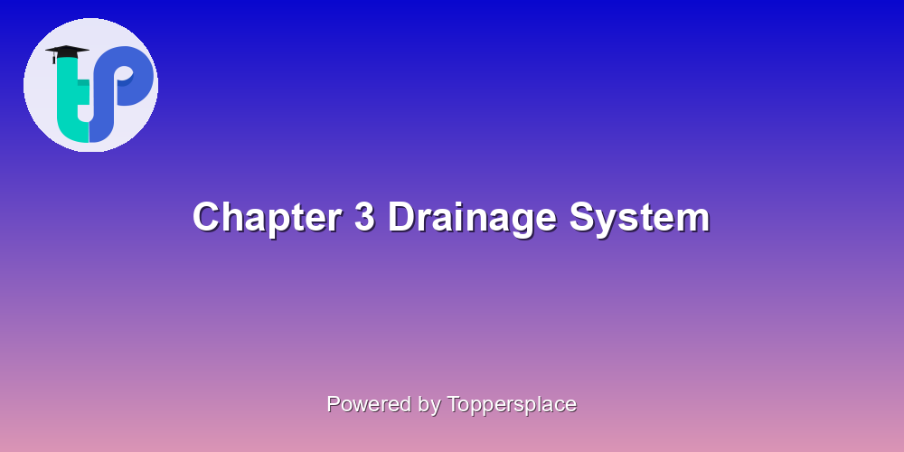 Chapter 3 Drainage System